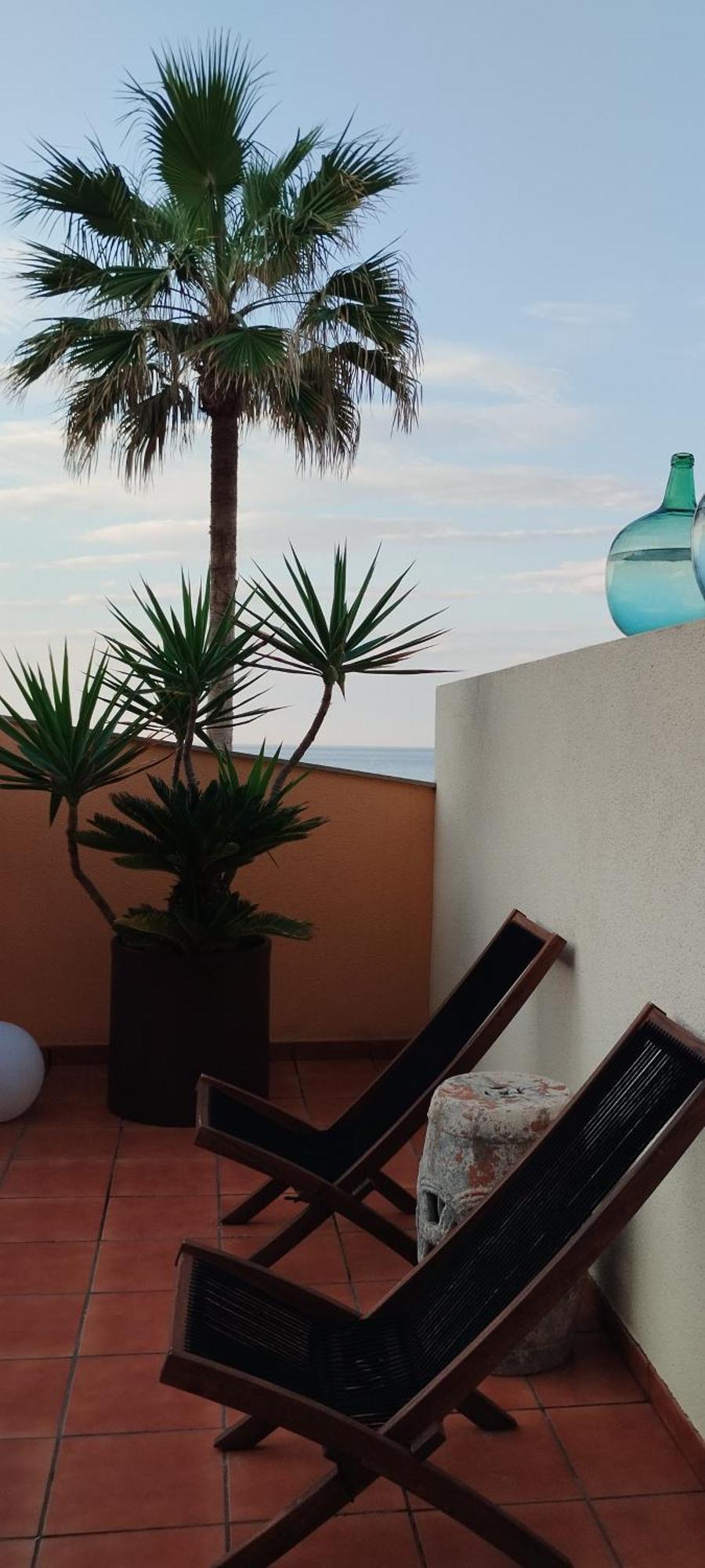 Facing The Ocean Apartment Santa Maria de Guia de Gran Canaria Exterior photo
